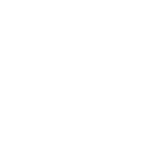 SEGURIDAD