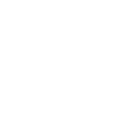 TRANSPORTE